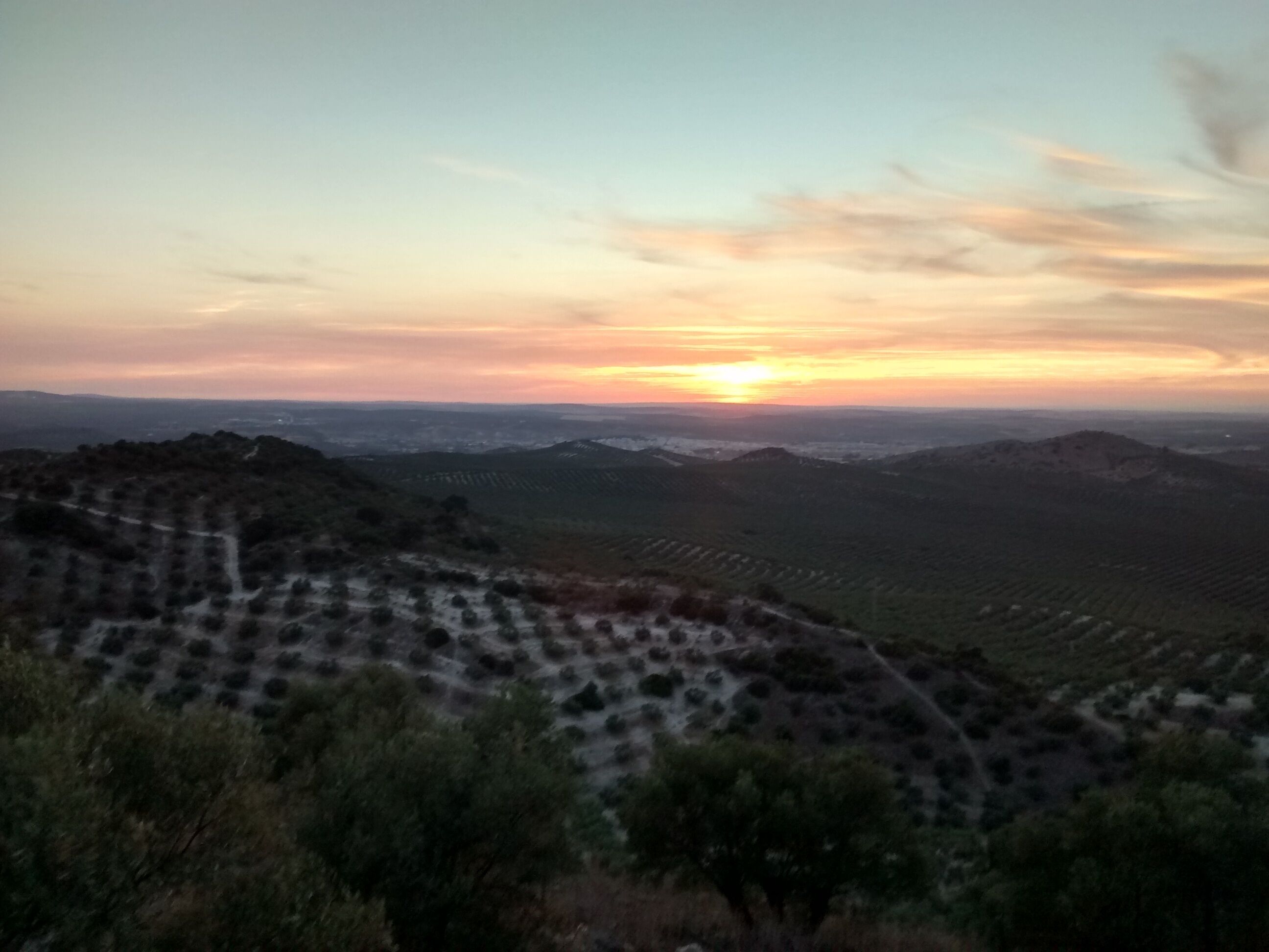 Los árabes ya eran conocedores de tal belleza en el Siglo X.