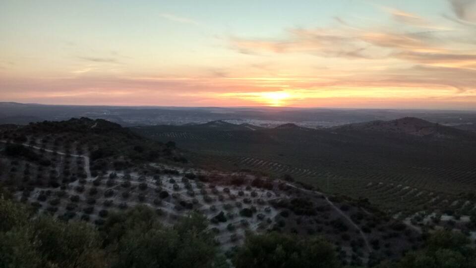 A sunset over a hilly landscape with terraced fields.