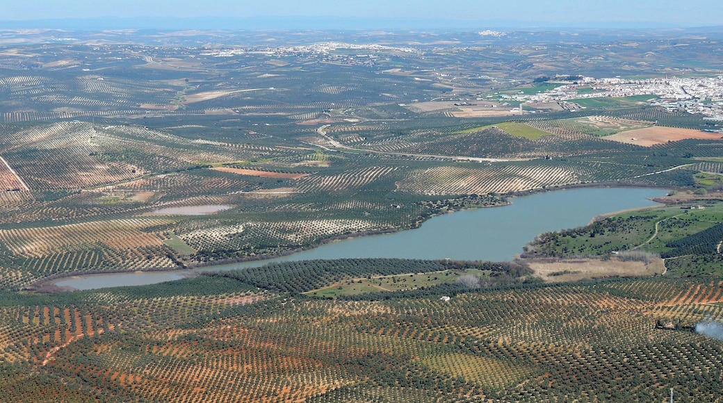 Fotografía aérea del complejo lagunar Zóñar - General - Jarambel - Lagunillas de Zurera - Huerta la Perrita (Aguilar de la Frontera).