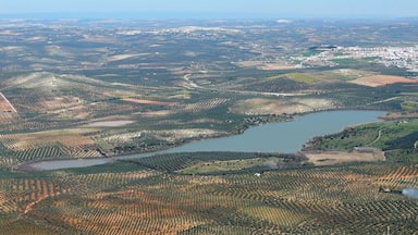 Fotografía aérea del complejo lagunar Zóñar - General - Jarambel - Lagunillas de Zurera - Huerta la Perrita (Aguilar de la Frontera).