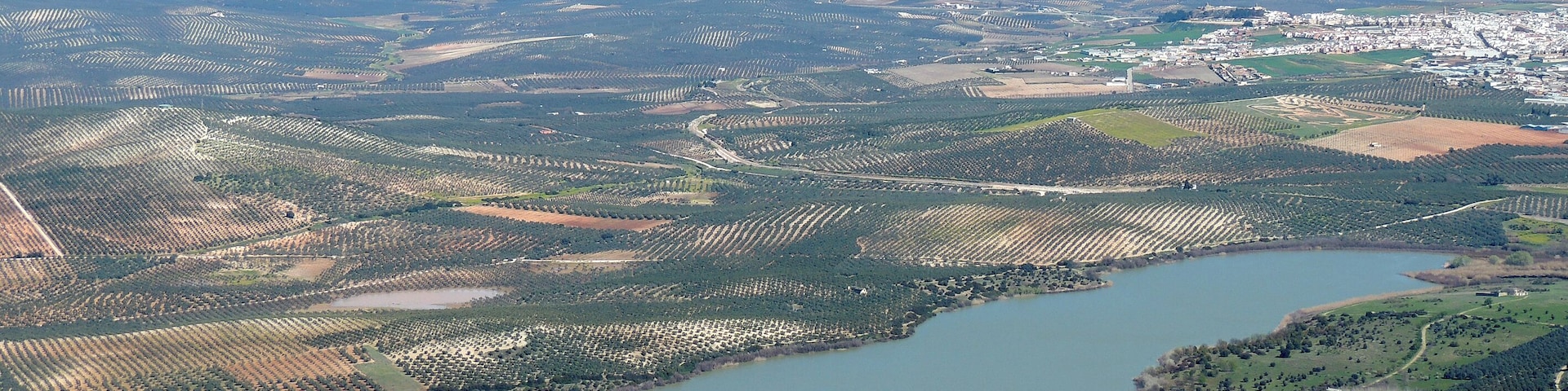Fotografía aérea del complejo lagunar Zóñar - General - Jarambel - Lagunillas de Zurera - Huerta la Perrita (Aguilar de la Frontera).