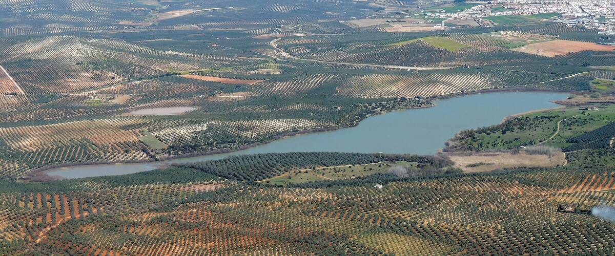 An aerial view of a vast agricultural landscape with terraced fields, a lake, and a small town in the distance.