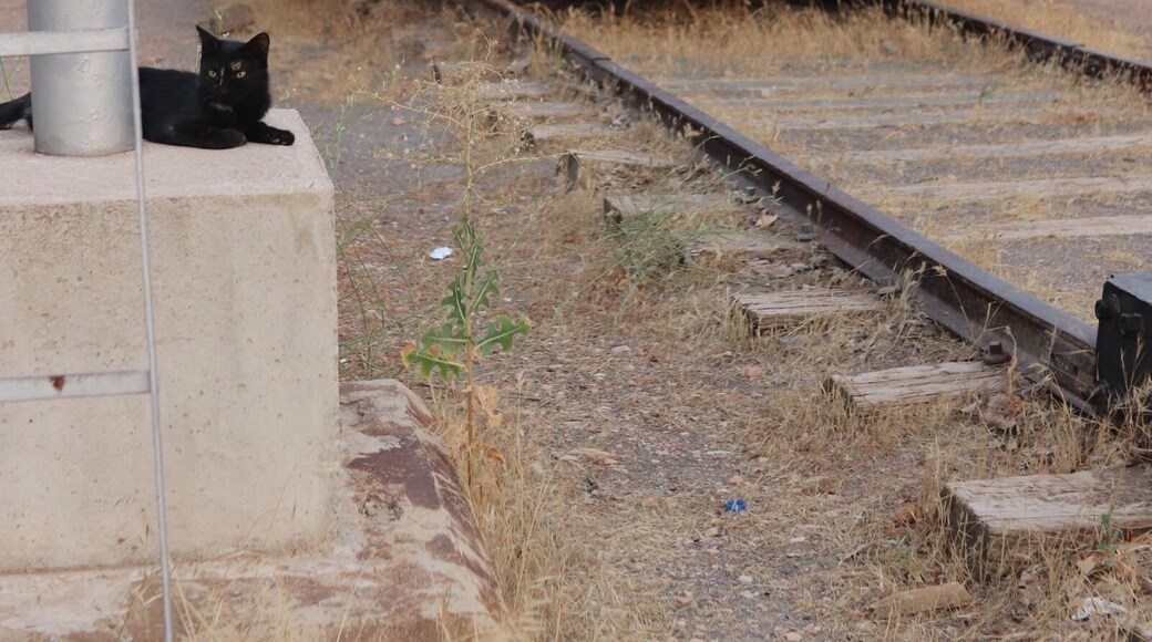locomotives of yesteryear
