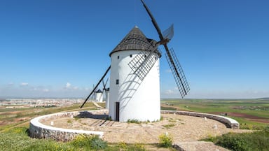 A white windmill with a conical roof and large sails, surrounded by a stone base and a circular stone wall, set against a clear blue sky and a distant cityscape.