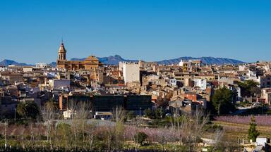 Cieza with its church, Parroquia La Asuncion in the Murcia region in Spain