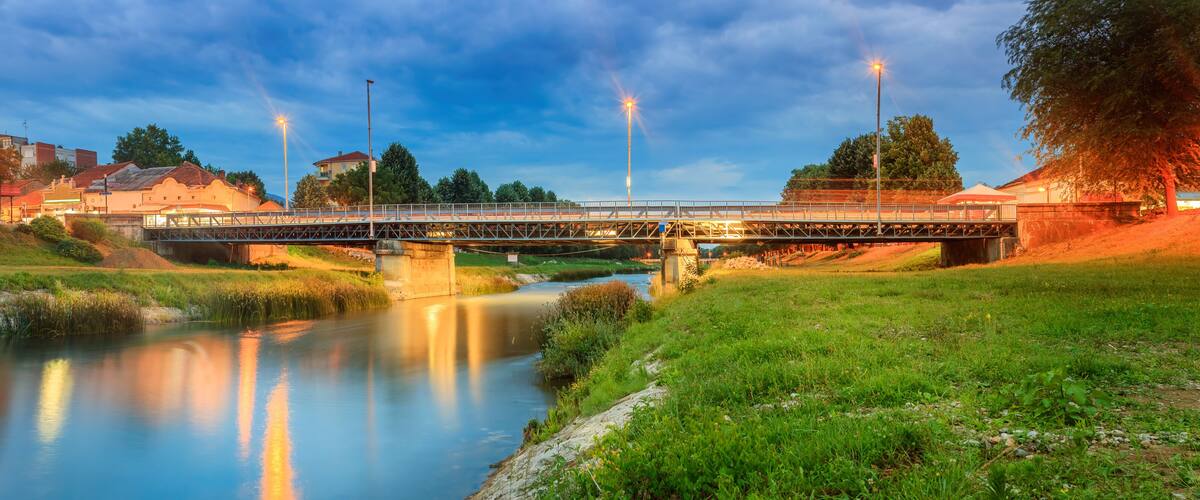 A bridge over a river with surrounding greenery and buildings.