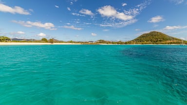 Mar turquesa, praia de areia e uma colina verde com árvores.