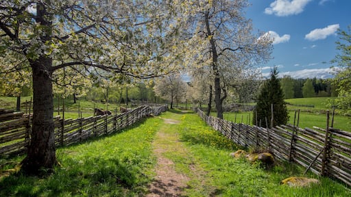 Springtime in Sweden - a sunny day in Småland in early May