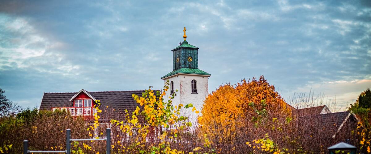 A church with a clock tower, surrounded by autumn foliage and residential buildings.