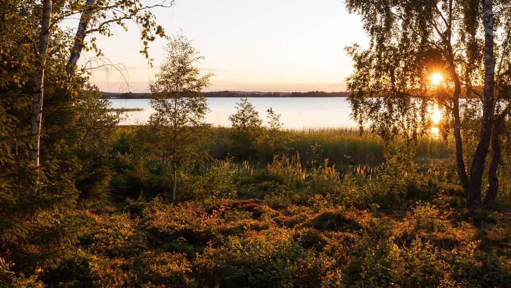 Romantischer See mit unberĂŒhretr Natur in Schweden, Ă
snens Nationalpark, Tingsryd, Smaland