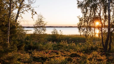 Romantischer See mit unberühretr Natur in Schweden, Åsnens Nationalpark, Tingsryd, Smaland