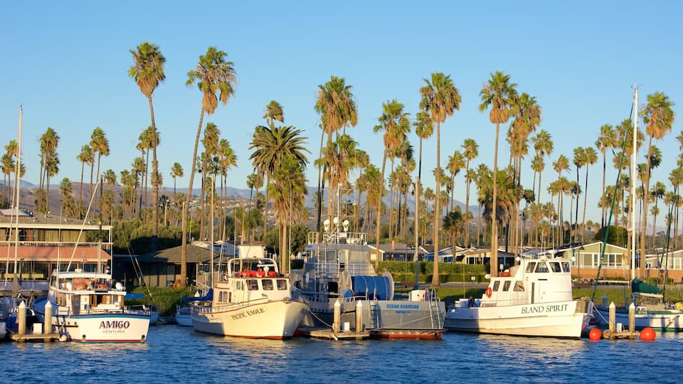 A marina with several boats docked, surrounded by tall palm trees and a clear sky.