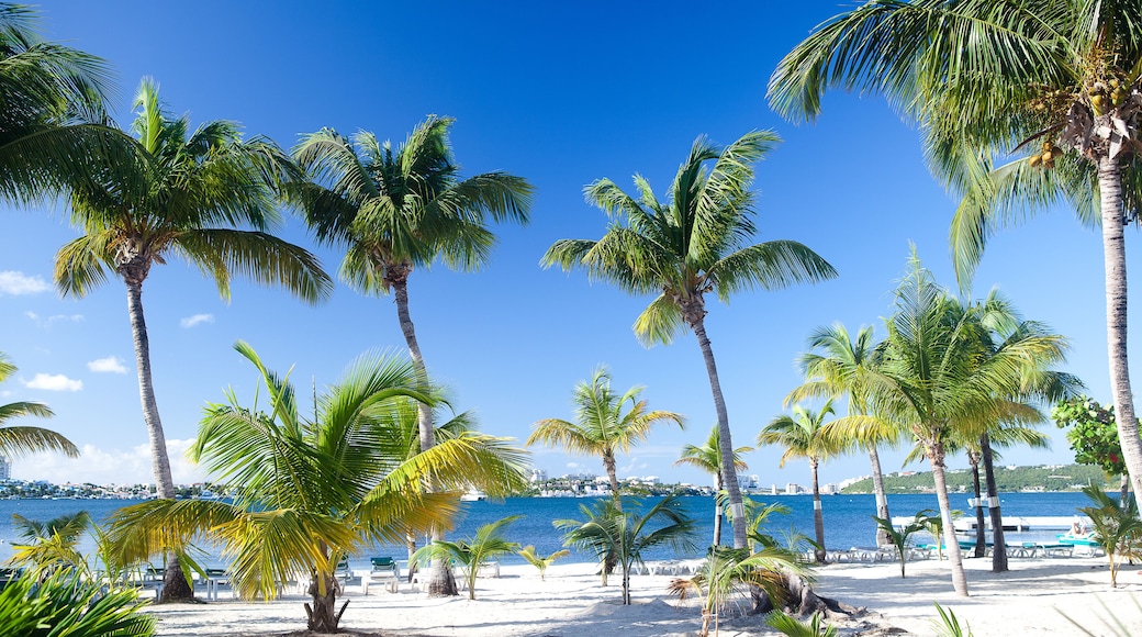 Plage de Baie Nettlé à Saint Martin (Côté Français)