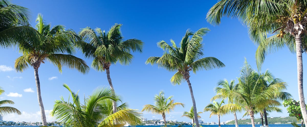 Plage de Baie Nettlé à Saint Martin (Côté Français)