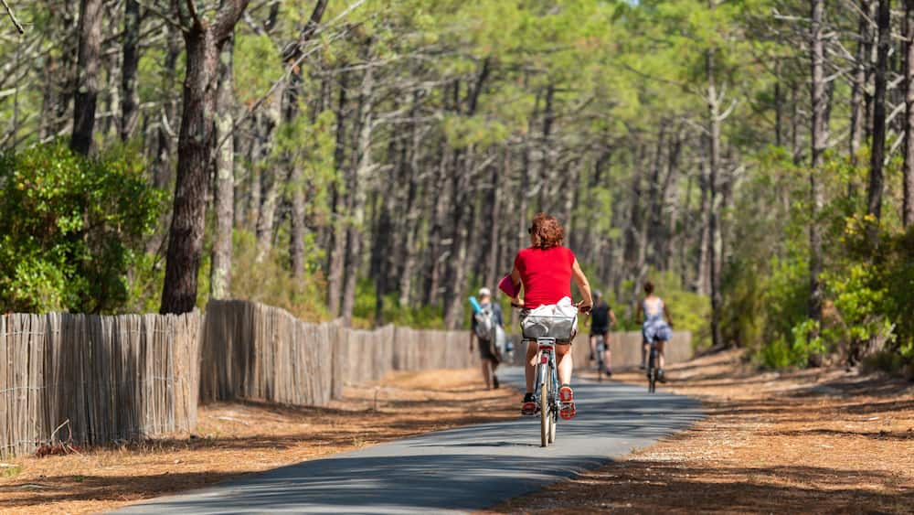 Un sentier pavé qui traverse une forêt, où l’on peut voir des cyclistes.