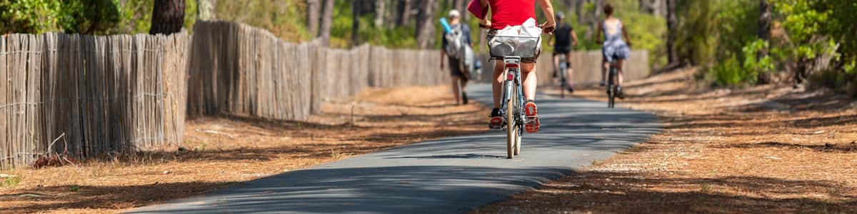 A paved path through a forest with cyclists.