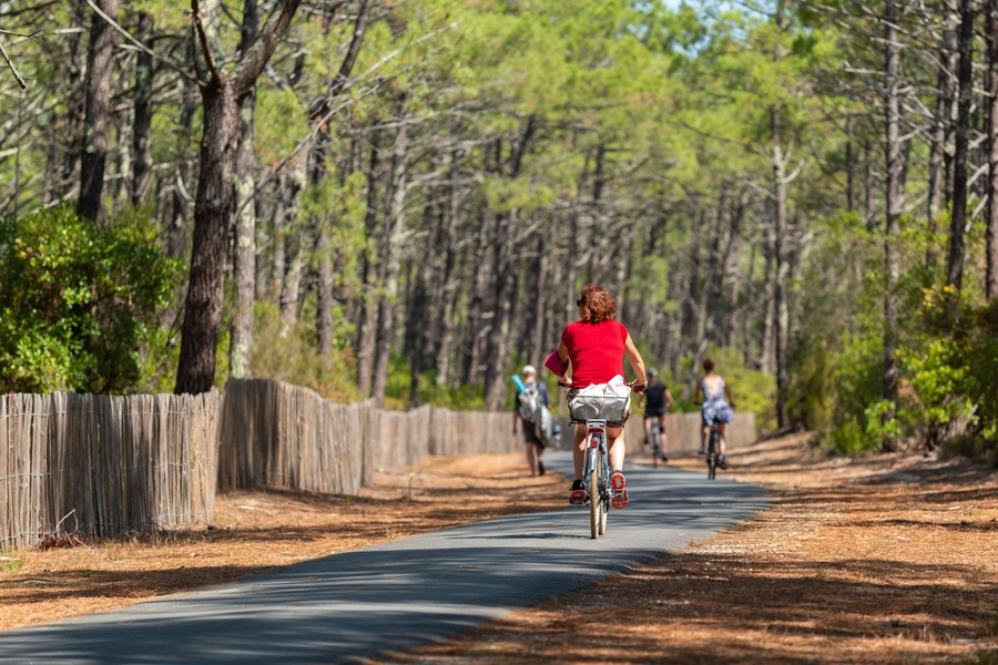 Un sentier pavé qui traverse une forêt, où l’on peut voir des cyclistes.