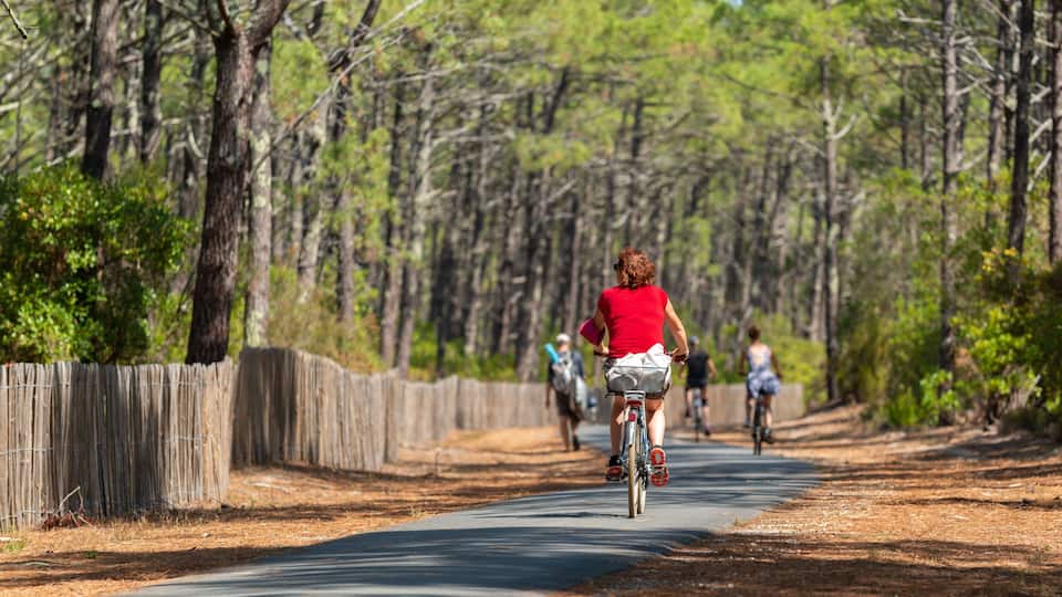 BASSIN D'ARCACHON (France), piste cyclable