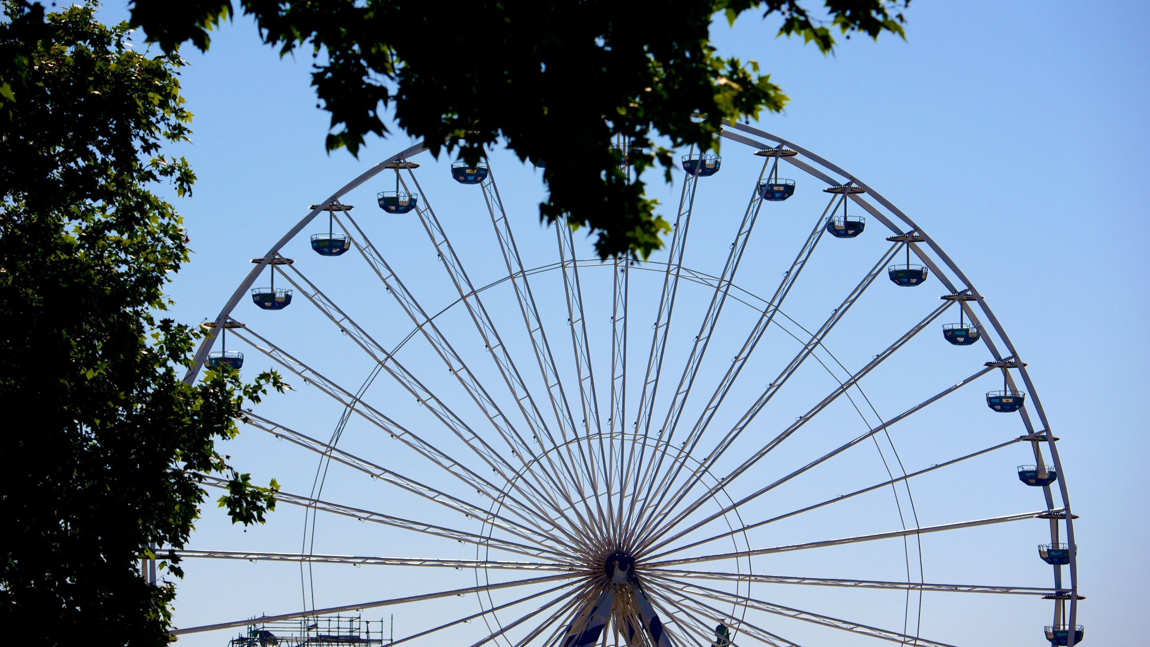 Bordeaux showing rides