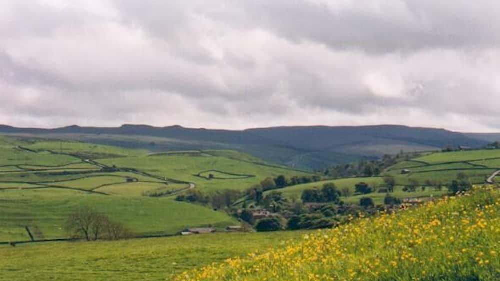 Rolling green hills, a field of yellow flowers, and distant mountains under a cloudy sky.