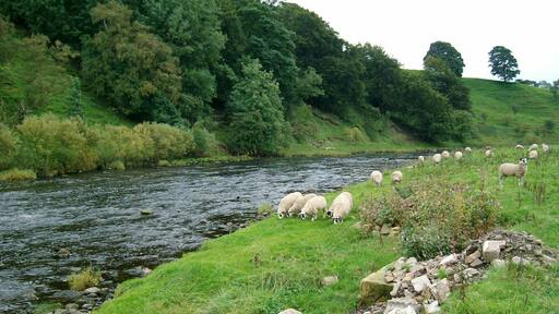 River Ure just above Yorebridge