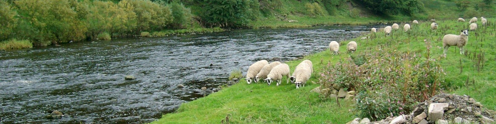 River Ure just above Yorebridge