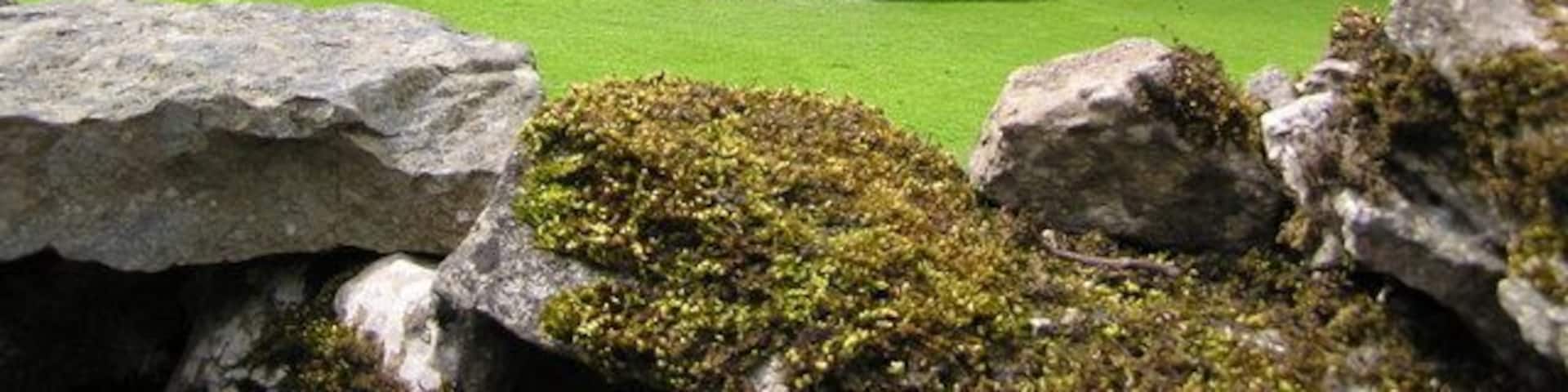 Barn On the Morpeth Gate route
