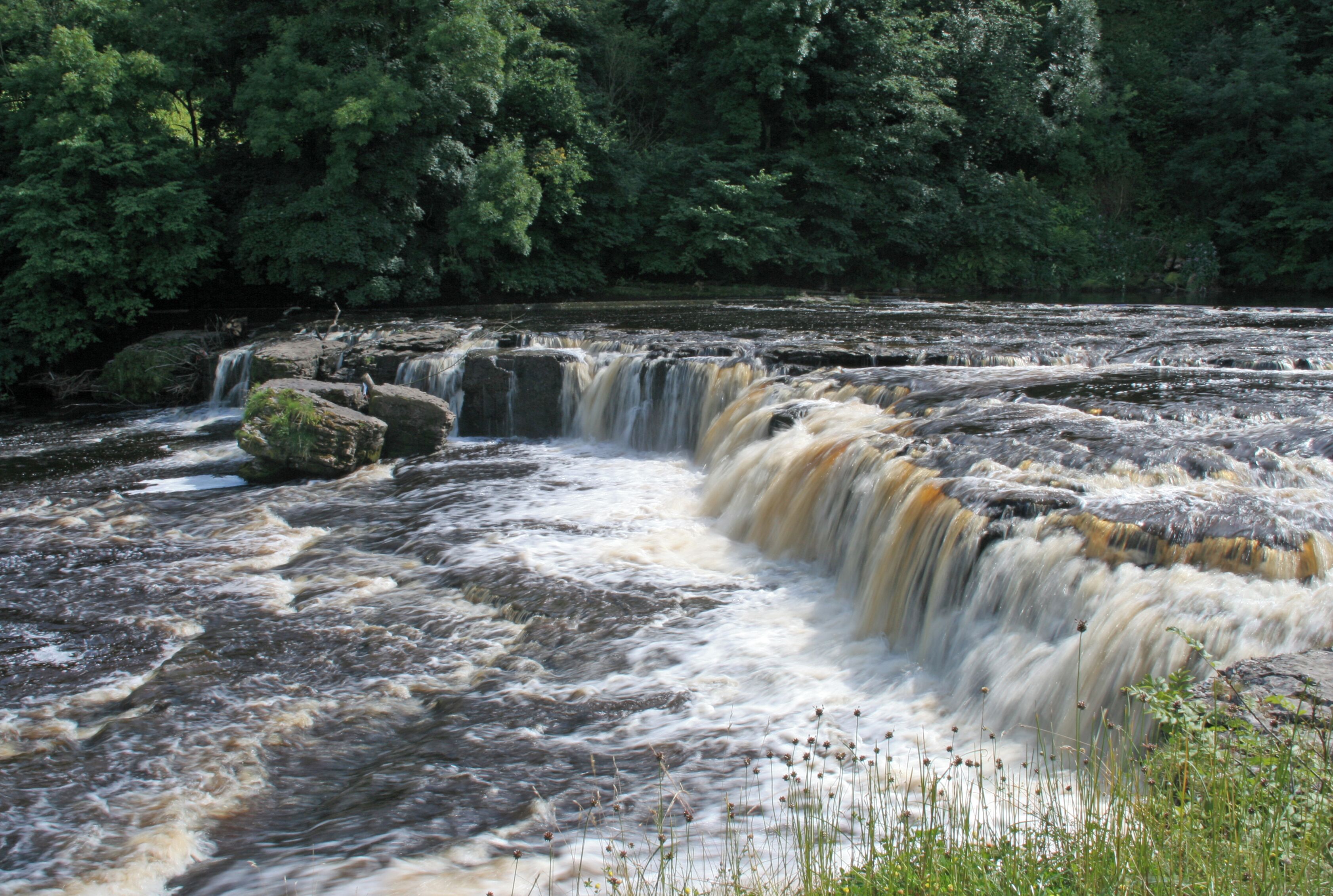 A waterfall cascading over rocks in a forested area.