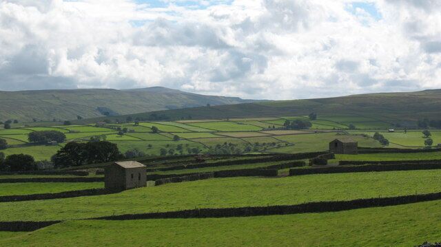 Walls and pastures above Carperby Above Carperby the fields are mainly straight edged and often rectangular, suggesting enclosure in the 18th century.