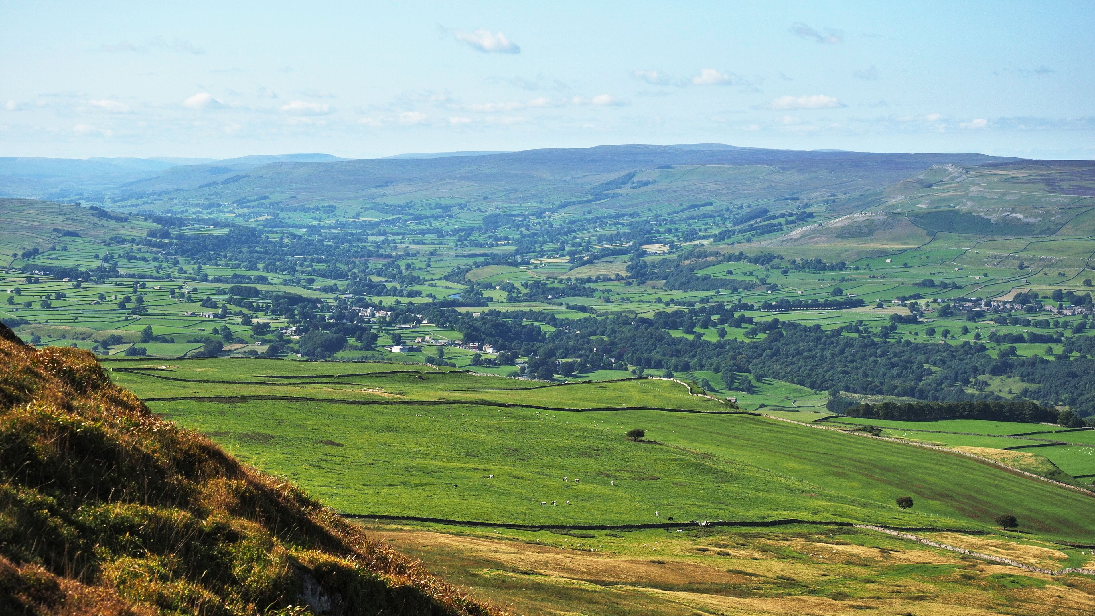 View from Penhill to the west into Wensleydale