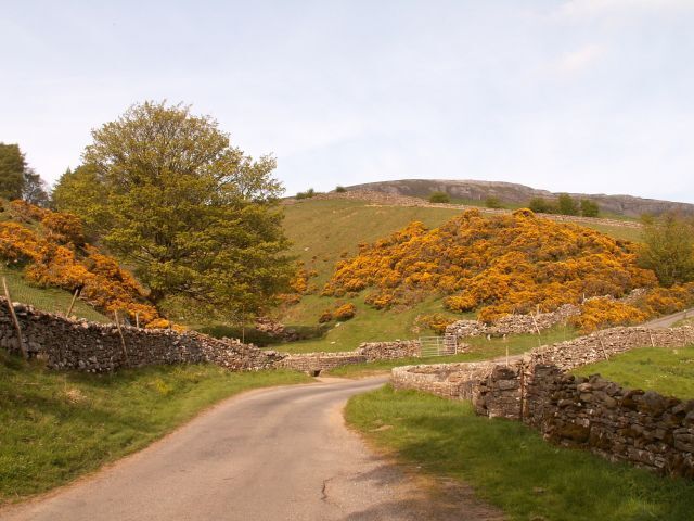 A rural road curving through a hilly landscape with stone walls and trees with yellow foliage.