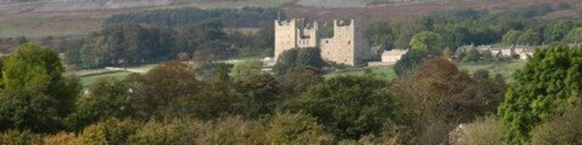 Cattle and Castle Contented cattle in pastureland at Redmire. Bolton Castle in the distance.