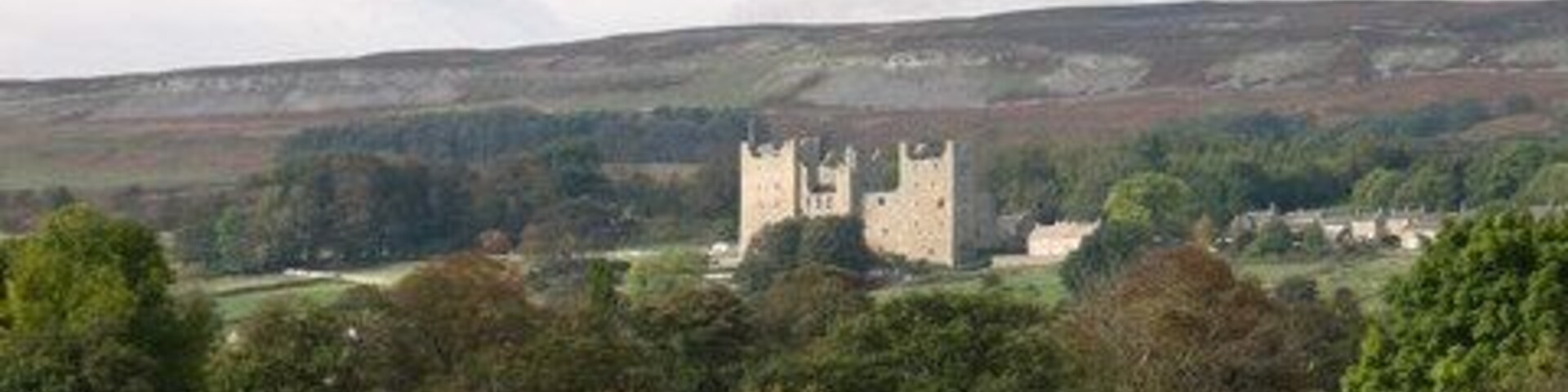 Cattle and Castle Contented cattle in pastureland at Redmire. Bolton Castle in the distance.