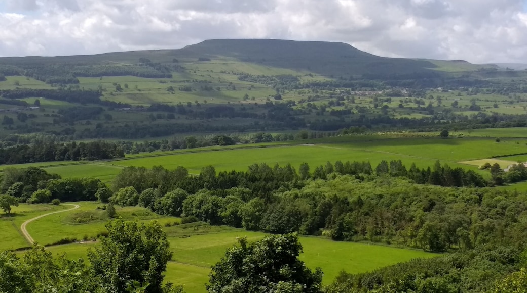 A view across the broad Dale of Wensley to Penn Hill.I took the photo from the Leyburn Shawl,so called because Mary Queen of Scots was imprisoned at nearby Bolton Castle but escaped and was caught near Leyburn were her Shawl was found shortly after