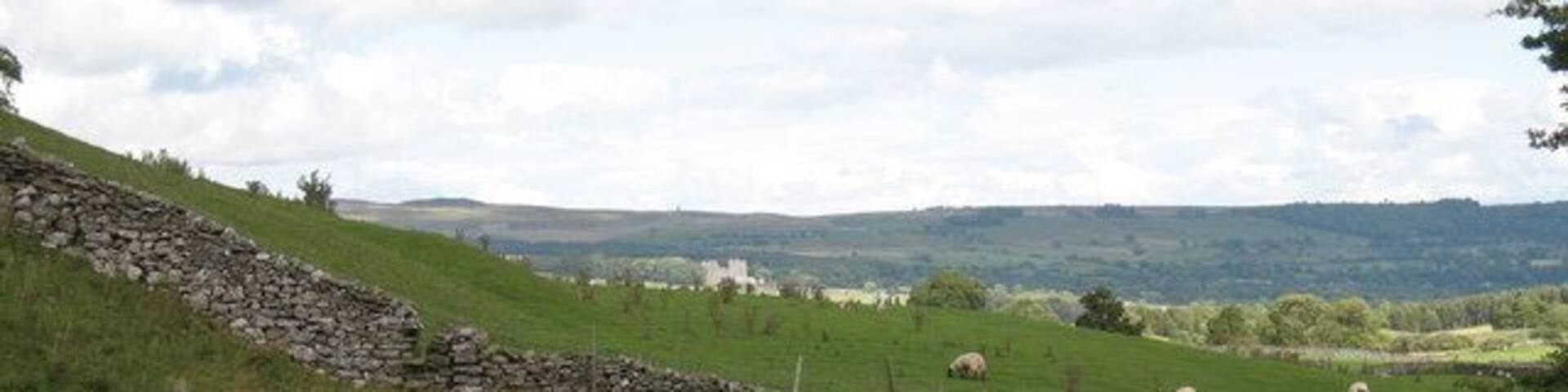 Carperby Water Supply A small reservoir captures water from a nearby spring at the base of the limestone scar above Carperby. There are remains of at least two original springs/pumps in the village itself.