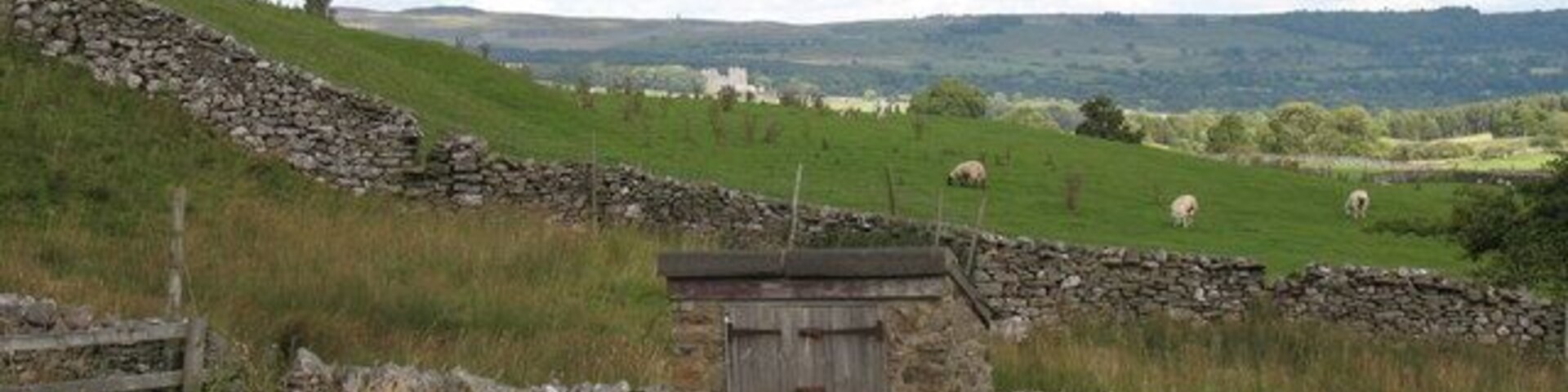 Carperby Water Supply A small reservoir captures water from a nearby spring at the base of the limestone scar above Carperby. There are remains of at least two original springs/pumps in the village itself.