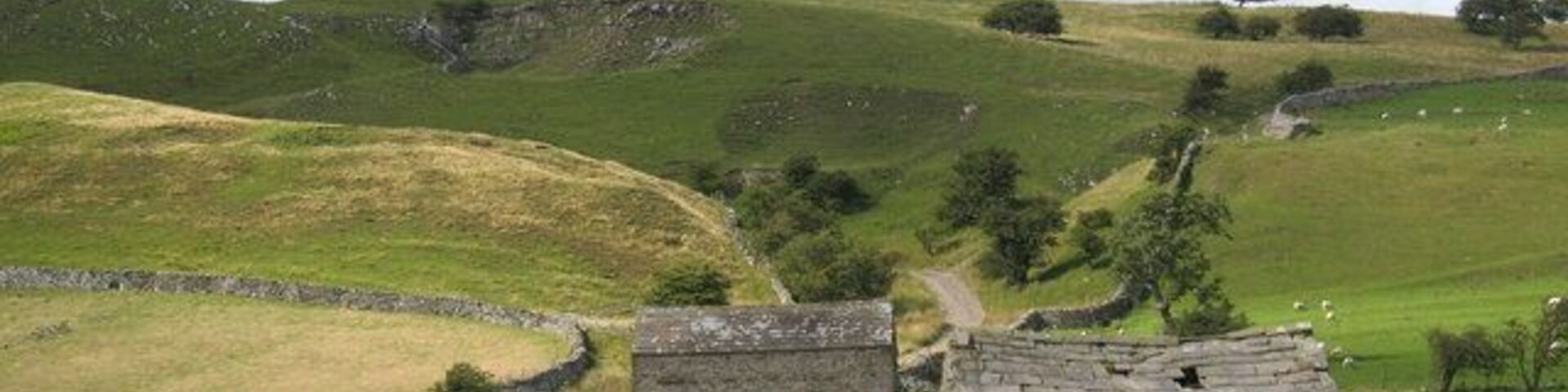 Lane and stone barns above Carperby. Once an important route out of Carperby towards quarries, a limekiln, supplies of turf, and Castle Bolton. Now much used by walkers heading for the hills.