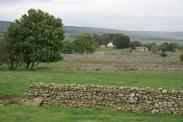 Stone Walls and Fields South of Carperby