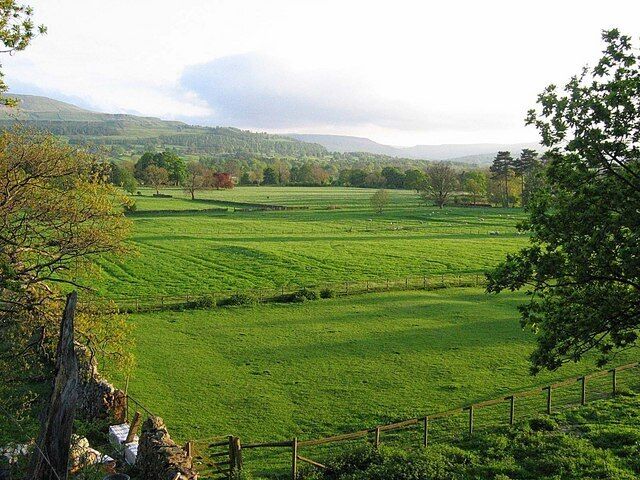 A lush green field with a wooden fence, trees, and distant hills.