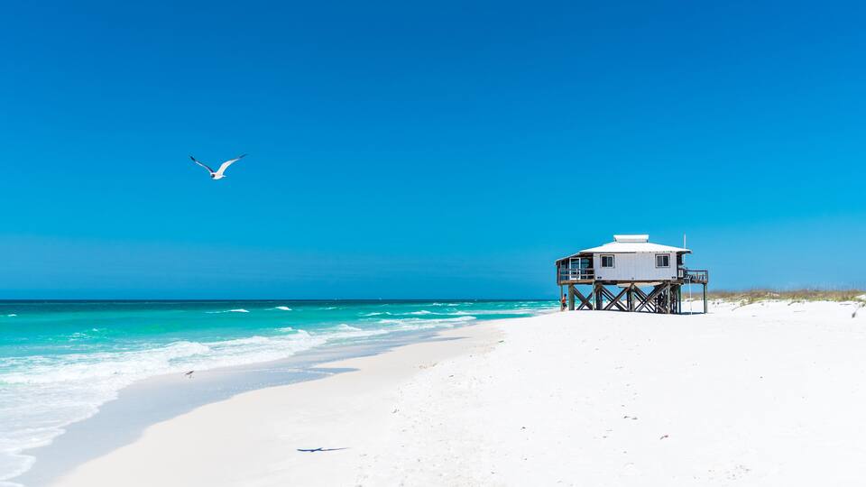 A beach with a white sand shore, a white building on stilts, and a seagull flying.