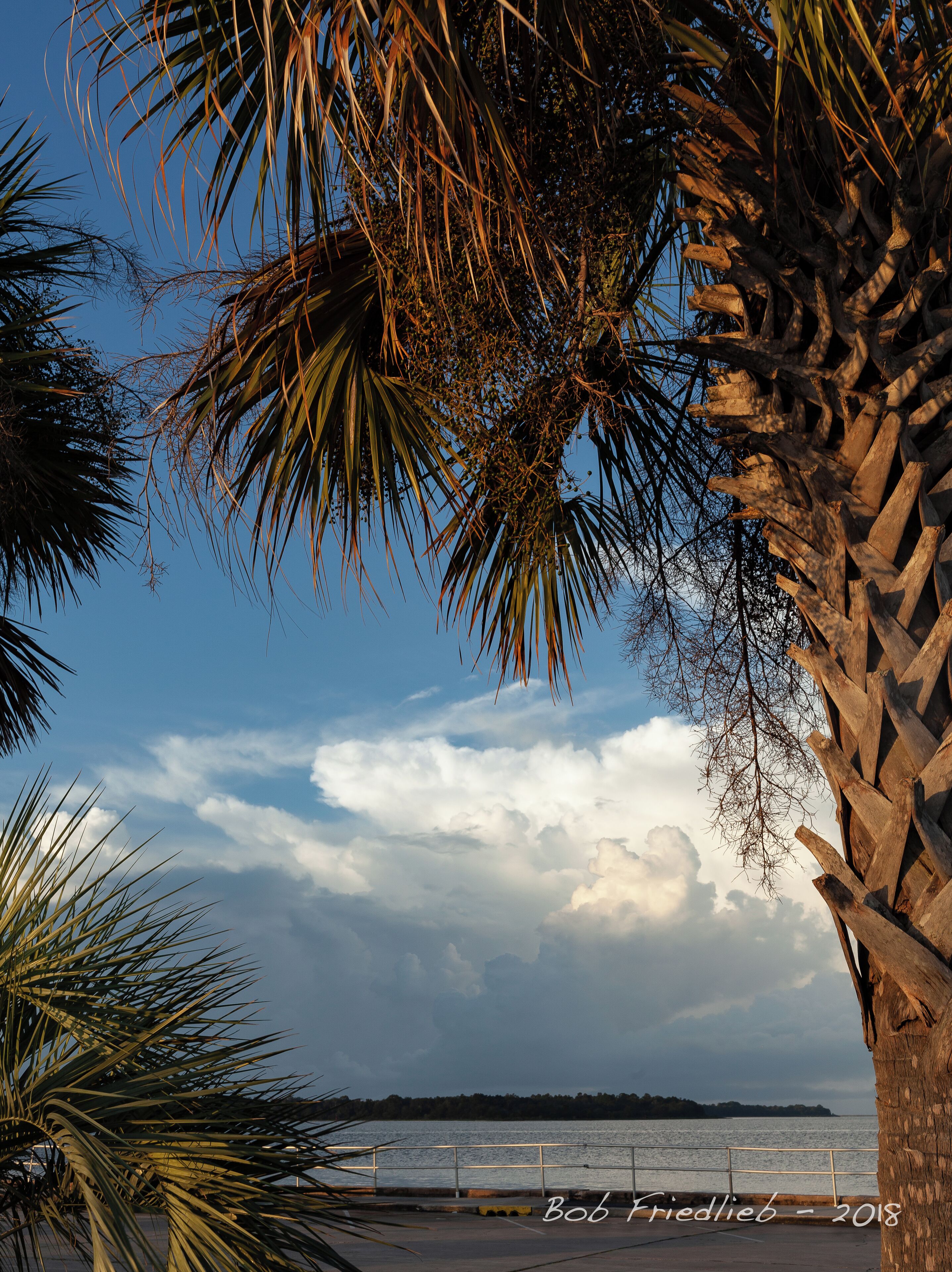 Looking out at Panama City Bay at the Municipal Pier.
