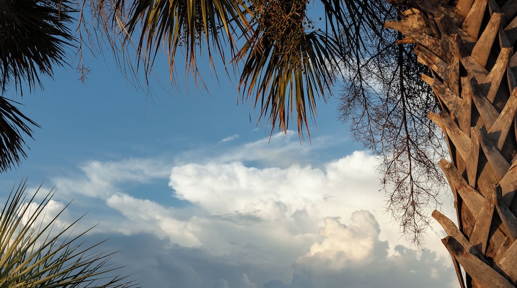 Looking out at Panama City Bay at the Municipal Pier.