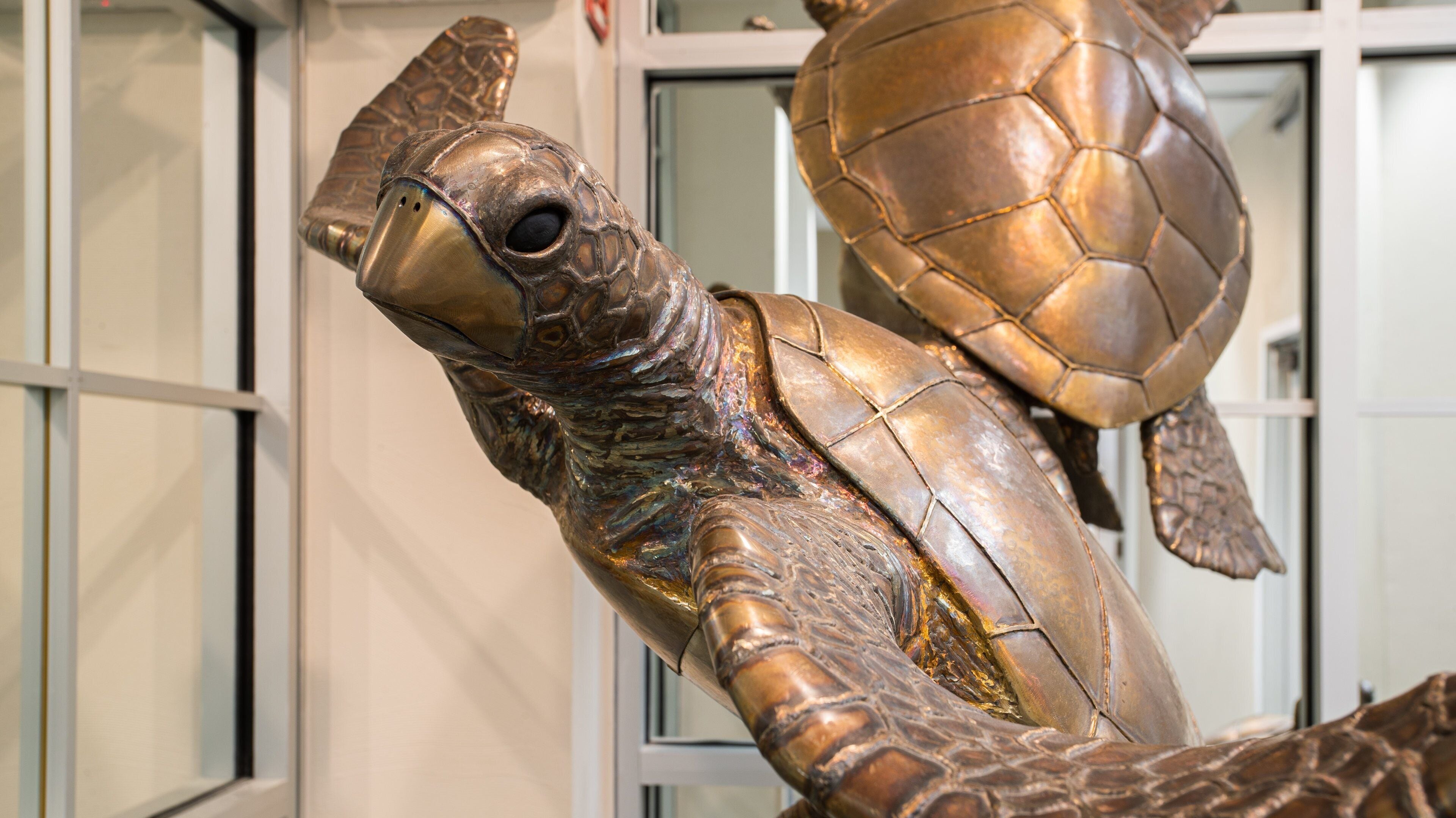 Panama City which includes art