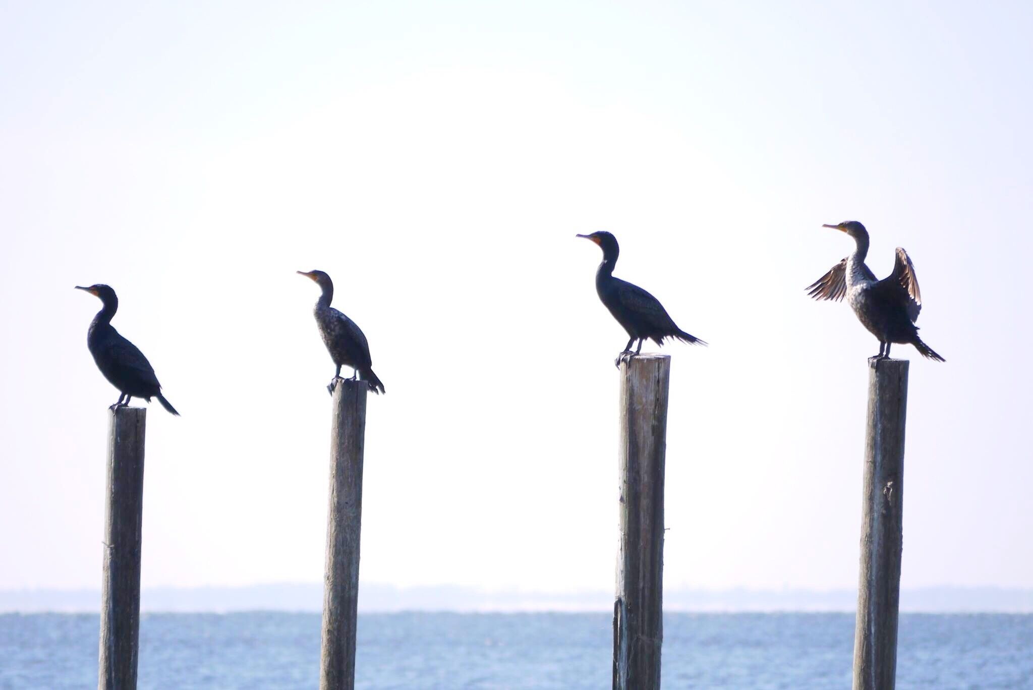 There is always one wise guy in the crowd.  Never fails! 