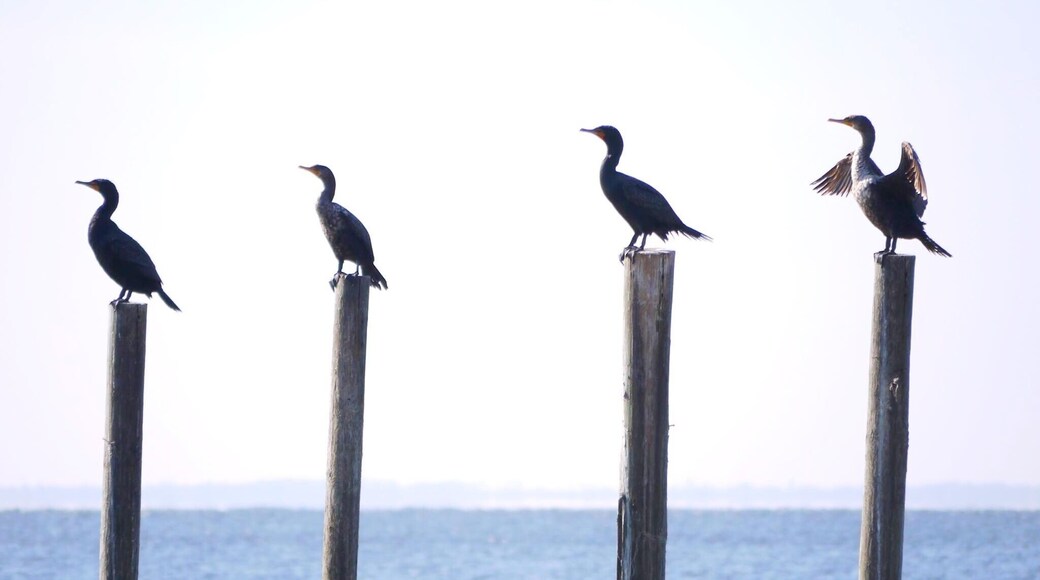 There is always one wise guy in the crowd. Never fails!