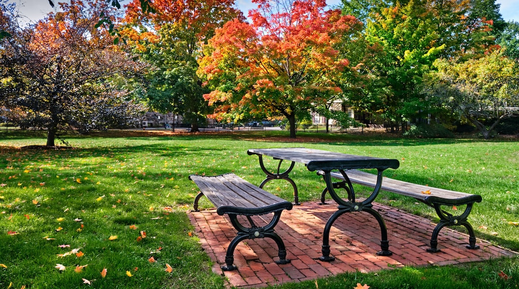 Dedham