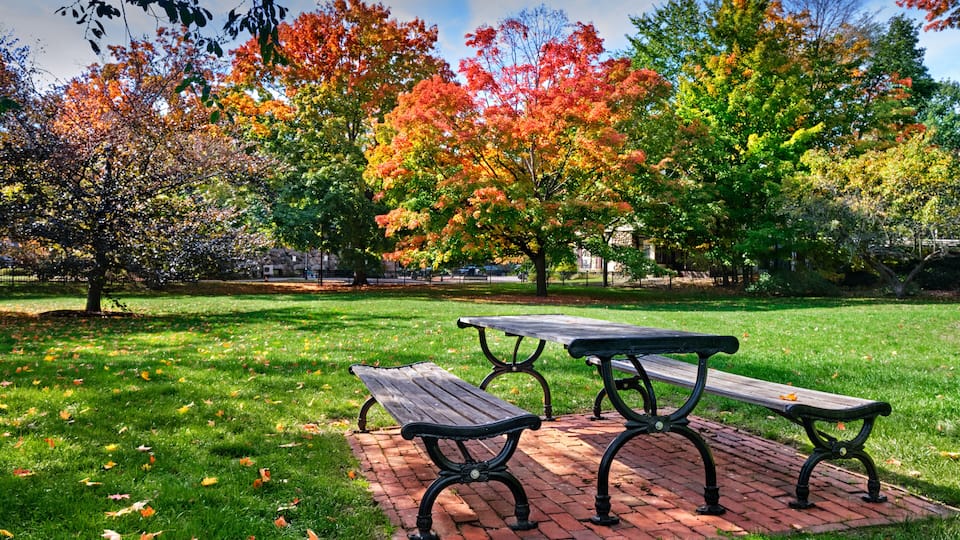 A park with a picnic table and benches on a brick pathway, surrounded by trees with autumn foliage.