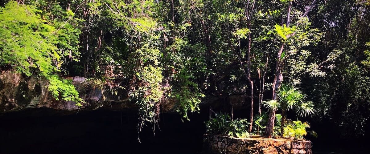 This was my favorite of the five cenotes at Kantun Chi. The colors were absolutely unreal! Make sure to opt out of the guided tour, it was much cheaper and allowed us to relax in the cenotes at our own pace. #AquaTrove