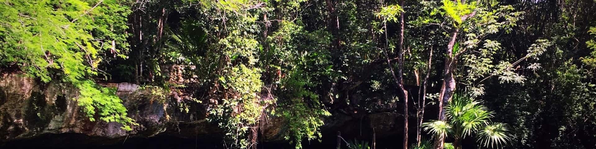 This was my favorite of the five cenotes at Kantun Chi. The colors were absolutely unreal! Make sure to opt out of the guided tour, it was much cheaper and allowed us to relax in the cenotes at our own pace. #AquaTrove