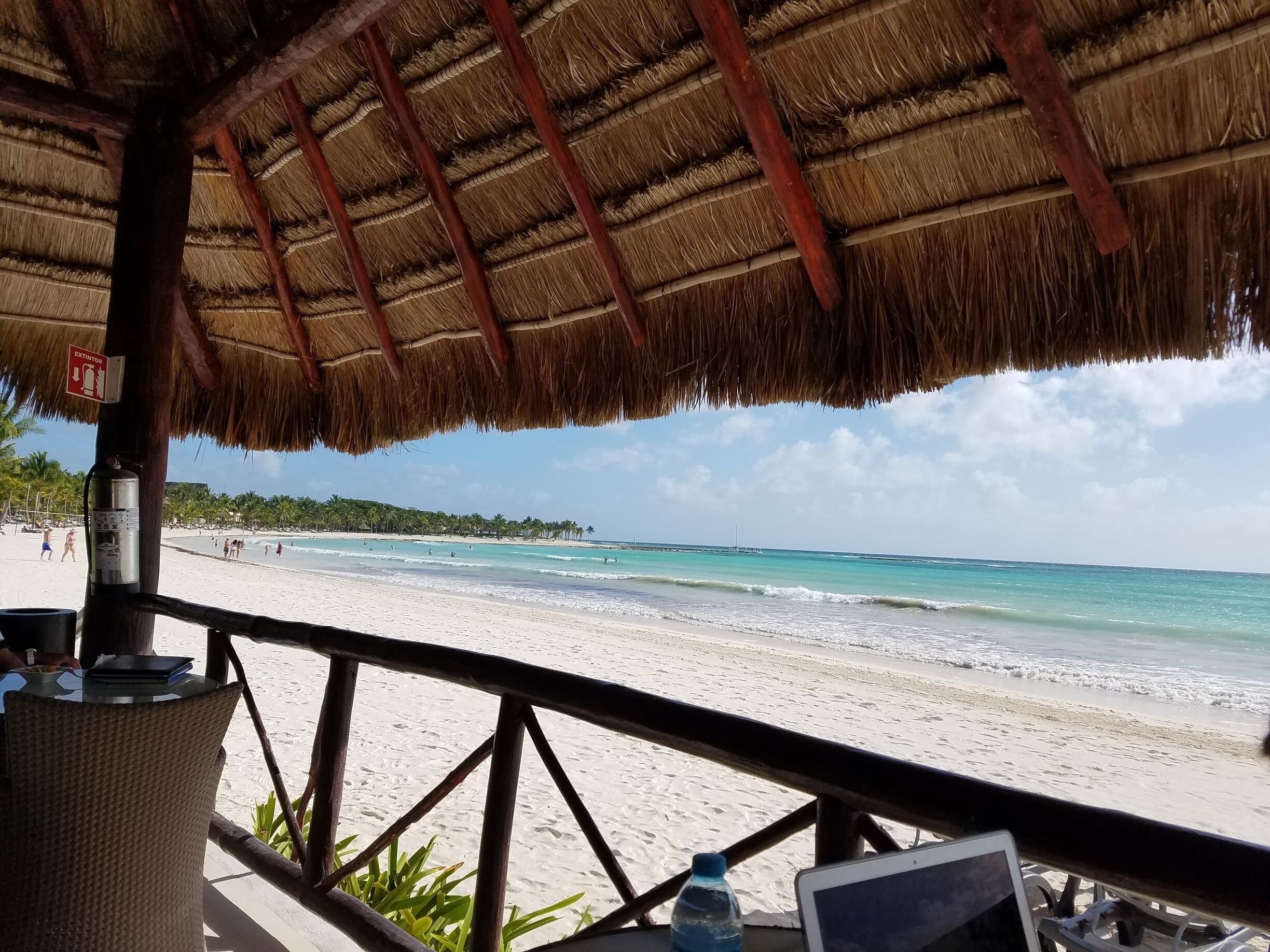 Uma praia com uma estrutura de telhado de palha, palmeiras e vista clara do oceano.
